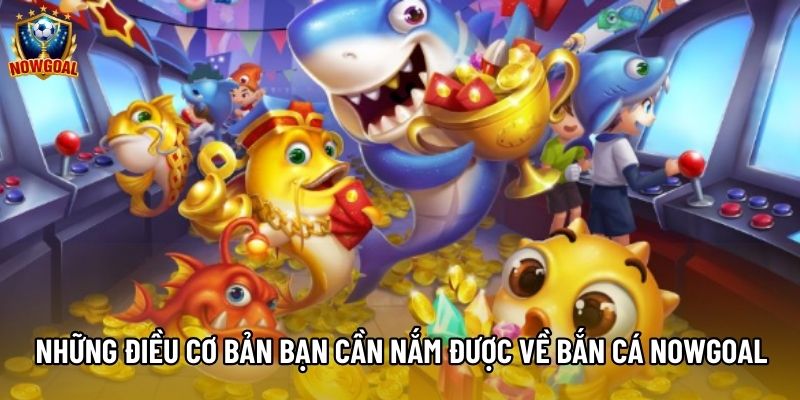 Những điều cơ bản bạn cần nắm được về bắn cá nowgoal Những điều cơ bản bạn cần nắm được về bắn cá nowgoal